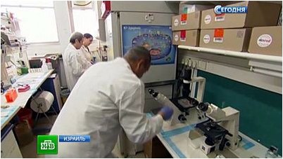 киеве киеве