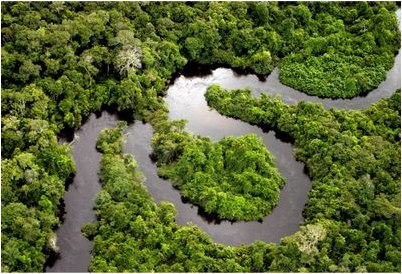 строгий строгий