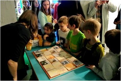 зебровых амадин зебровых амадин