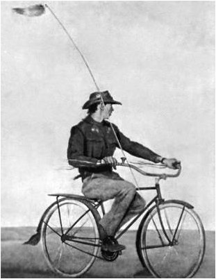 университет