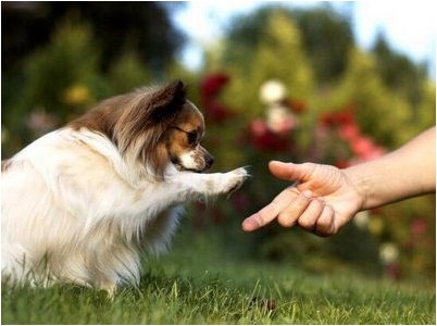 генетических регионов