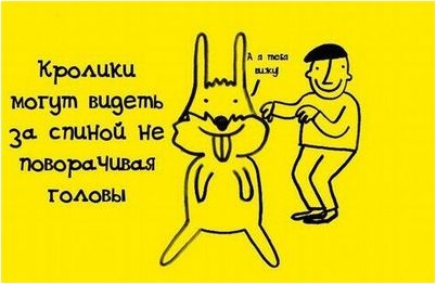 полость