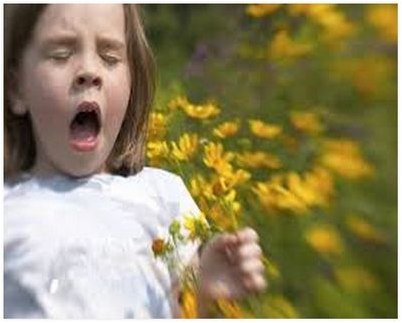 загрязнение