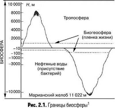 микроорганизм микроорганизм