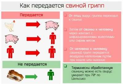 ожирение
