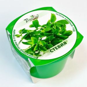 сахар сахар