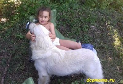 большинстве случаев