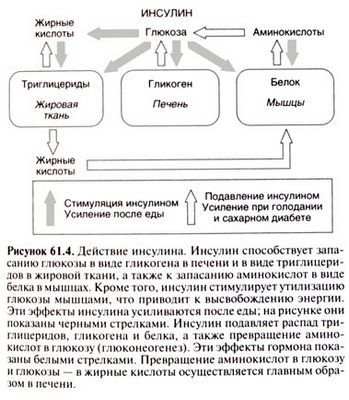 инсулин инсулин