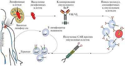 Открытие нового биомаркера с замечательной специфичностью для ревматоидного артрита Открытие нового биомаркера с замечательной специфичностью для ревматоидного артрита