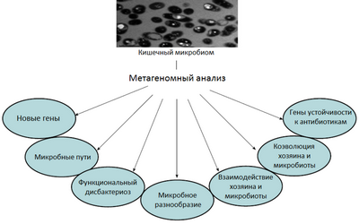 Исследователи пытаются более эффективно изучать различные микробиомы
