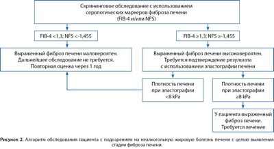 Общества присоединяются к выпуску новых руководств по обучению, чтобы помочь обеспечить оптимальные результаты для пациентов с ишемическим инсультом Общества присоединяются к выпуску новых руководств по обучению, чтобы помочь обеспечить оптимальные результаты для пациентов с ишемическим инсультом