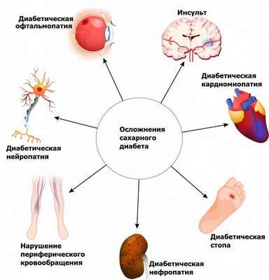 Исследование указывает на новую роль молекулы в поддержании кровообращения в организме