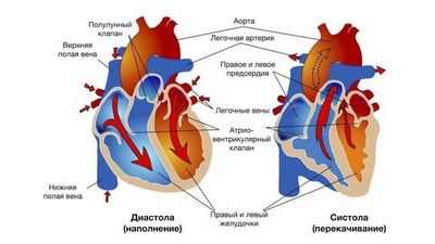 Когда лучше всего подождать от гипертонии