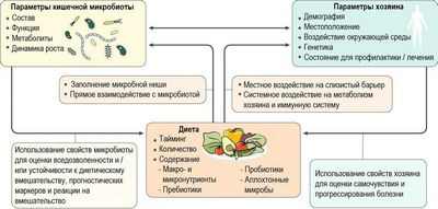 Неожиданное влияние маннозы на микробиом и набор веса