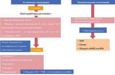 Вышли новые клинические рекомендации для пациентов с митохондриальными заболеваниями
